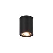 Trio 612900180 Cookie - Adjustable Surface Mounted Spotlight image