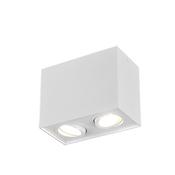 Trio 613000231 Biscuit - Adjustable Surface Mounted Spotlight image