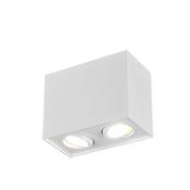 Biscuit - Adjustable Surface Mounted White Twin Spotlight image