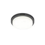 Trio 630369142 Bermejo - Anthracite CCT Ceiling Lamp 