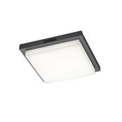 Trio 630369242 Bermejo - Anthracite CCT Ceiling Lamp