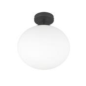 Trio 663100132 Fomento - Matt Black Ceiling Lamp with Glass