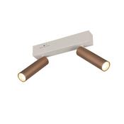 Trio 849210265 Ambala - Warm Grey &amp; Coffee CCT 2 Spotlights