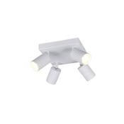 Trio 867730431 Soka - Matt White Ribbed 4 Spotlights