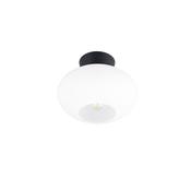 Trio R66831001 Sidera - Black Flush with White Glass image