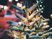 Inside Removal - New Year Meath, Kildare &amp;amp; Wicklow Christmas Tree Removal Service