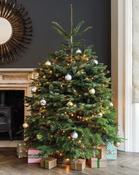 Eco Botanical - Luxury Decorated Christmas Tree image