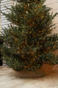 Ambient Lights - Decorated Christmas Tree