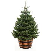 Rent Half Oak Whiskey Barrel Stand (Luxury Decorated Tree Add-on Only)
