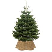 Seagrass Scalloped Christmas Tree Skirt (72cm) image