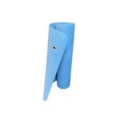 Yoga Mat | 6mm TPE With Eyelets (Blue) image