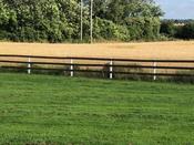 Fiberglass Anti Rot Fence Posts image