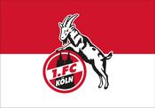 FC Koln Flag image