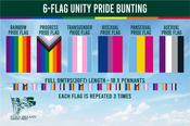 6-Flag Unity Pride Bunting
