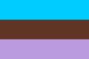 Androsexual Pride Flag image