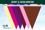 Berry &amp; Cocoa Bunting