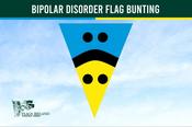 Bipolar Disorder Flag Bunting
