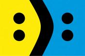 Bipolar Disorder Flag