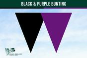 Black &amp; Purple Colour Bunting image