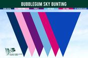 Bubblegum Sky Bunting