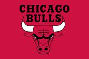 Chicago Bulls Flag image