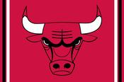 Chicago Bulls Stripes Flag image