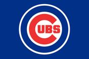 Chicago Cubs Blue Flag image