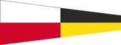 Numeral Pennant Code 9 Flag image
