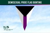 Demisexual Pride Flag Bunting