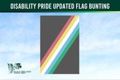 Disability Pride Updated Flag Bunting