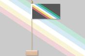 Disability Pride - Updated Version Table Flag, Pin &amp; Base