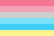 Genderflux Pride Flag image