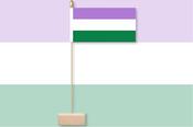 Genderqueer Pride Table Flag &amp; Pin image