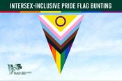 Intersex-Inclusive Pride Flag Bunting