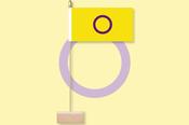 Intersex Pride Table Flag &amp; Pin image