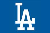 Los Angeles LA Flag image