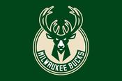 Milwaukee Bucks Green Flag image