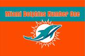 Miami Dolphins Chant Flag