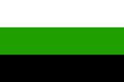 Neutrois Pride Flag image