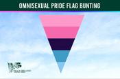 Omnisexual Pride Flag Bunting