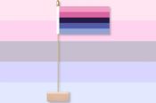 Omnisexual Pride Table Flag &amp; Pin image