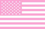 Pink Stylised USA Stars and Stripes Flag
