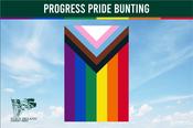Progress Pride Flag Bunting
