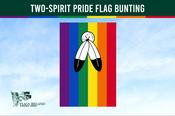 Two-Spirit Pride Flag Bunting