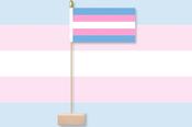 Transgender Pride Table Flag &amp; Pin image