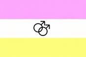 Twink Pride Flag image