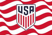 US Men's National Soccer Team Red and White Striped Flag image