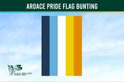 Aroace Pride Flag Bunting