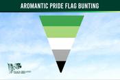 Aromantic Pride Flag Bunting
