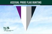 Asexual ACE Pride Flag Bunting